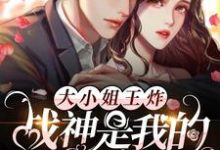 主人公叫云舒凌镜的小说哪里免费看-乐读文学