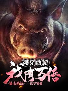 魂穿西游：我有万倍暴击系统卞庄，魂穿西游：我有万倍暴击系统章节在线阅读