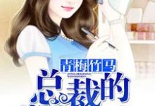 男女主人公叫安然苏洛辰的小说免费资源-乐读文学