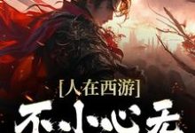 纪淮的故事在哪本书里?免费阅读人在西游,不小心无敌三界了-乐读文学