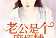 老公是个麻烦精小说的免费阅读版本在哪里可以找到?-乐读文学