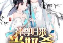 神尊归来当奶爸秦洛安颜小说在线章节目录阅读最新章节-乐读文学