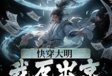 快穿大明:我反出京师对抗皇帝这本小说怎么样?免费在线阅读试试-乐读文学