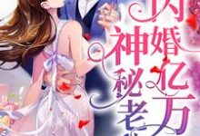 闪婚亿万神秘老公小说完结了吗?在哪里可以免费读到?-乐读文学
