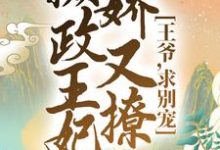 想读林纤仙南御冥的故事,哪里可以免费找到摄政王妃娇又撩:王爷,求别宠!?-乐读文学