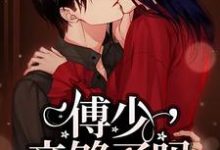 傅少,亲够了吗?这本小说怎么样?免费在线阅读试试-乐读文学