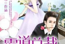 霸道总裁契约妻(沈清子林俊辉苏梅梅陈京墨)在线免费阅读-乐读文学