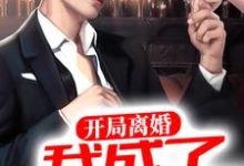开局离婚,我成了世界首富这本小说怎么样?免费在线阅读试试-乐读文学