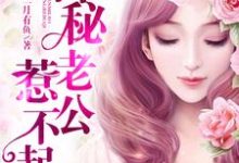 神秘老公惹不起这本小说在哪里可以看?哪里有免费试读章节?-乐读文学