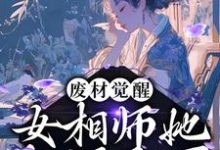 男女主人公叫云清歌君承泽的小说免费资源-乐读文学