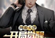 网游大佬:开局觉醒红温系统苏晨,网游大佬:开局觉醒红温系统最新章节-乐读文学