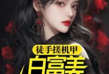 徐帆王艺雪是哪本书的主角?徒手搓机甲,白富美女神惊呆了免费读-乐读文学