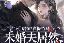 晏深闻溪的故事在哪本书里?免费阅读震惊!青梅竹马未婚夫居然有白月光-乐读文学