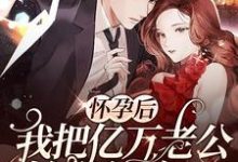 完结版《怀孕后,我把亿万老公始乱终弃了》章节阅读-乐读文学