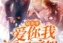 陆先生,爱你我罪无可恕小说的免费电子版在哪里可以下载或阅读?-乐读文学