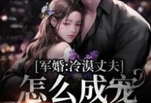 小说《军婚:冷漠丈夫怎么成宠妻狂魔了》章节免费阅读-乐读文学