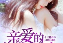 亲爱的,离婚吧小说阅读,亲爱的,离婚吧完结版-乐读文学