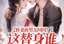 小说《娇妻前男友回国?这替身谁爱当谁当》章节免费阅读-乐读文学