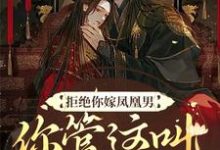 拒绝你嫁凤凰男,你管这叫恶人?小说的免费阅读版本在哪里可以找到?-乐读文学
