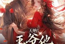 天呐!王爷他还在追妻小说的无弹窗阅读体验,寻找免费阅读网站-乐读文学