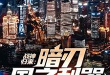 《战神归来:暗刃国之利器》全集免费在线阅读(萧风)-乐读文学