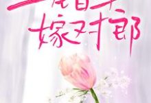 叶渺江约城为主角的小说好看吗?免费读上错车,嫁对郎-乐读文学