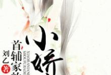 首辅家的小娇娘小说有没有完整的免费版本在线阅读?-乐读文学