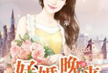 已完结小说《好婚晚来》章节在线阅读-乐读文学