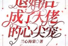 在线寻找退婚后成了大佬的心尖宠小说的无删减版本-乐读文学