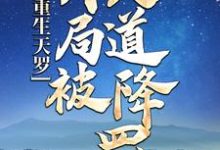 重生天罗:开局被天道降罚易擎天李幼薇在线章节免费阅读-乐读文学