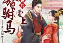已完结小说《穿越后爱上入赘驸马》章节在线阅读-乐读文学