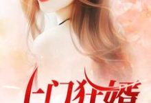 上门狂婿小说的无弹窗阅读体验,寻找免费阅读网站-乐读文学
