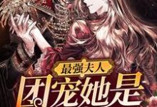 小说《最强夫人:团宠她是满级大佬》章节免费阅读-乐读文学