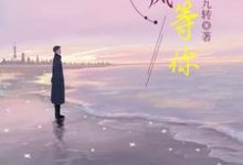 等风也等你章节免费在线阅读,苏瑶陆励成完结版-乐读文学