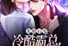 先婚后爱:冷酷霸总追妻路漫漫小说的免费电子版在哪里可以下载或阅读?-乐读文学