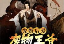 先婚后爱:废物王爷宠妻没下限章节免费在线阅读,李澈完结版-乐读文学