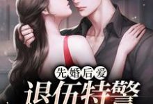苏黎秦朗是哪本书的主角?先婚后爱:退伍特警好粘人免费读-乐读文学