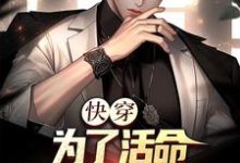 主角沈书仇小说完结版在线阅读,快穿:为了活命,只好攻略女主免费看-乐读文学