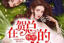 在贺总的怀里放肆免费阅读，在贺总的怀里放肆章节目录-乐读文学