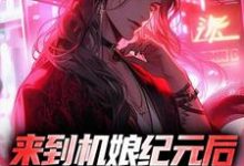 来到机娘纪元后,我杀疯了苏年星辰小说在线章节免费阅读-乐读文学