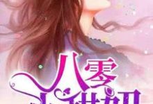 张青魏匡时张月的完整故事在哪里?读八零小甜妞小说-乐读文学