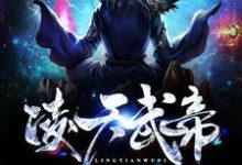 凌天武皇胡珊珊小说《凌天武帝》在线阅读-乐读文学