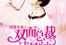 简安唐泽修是哪本书的主角?寻找萌妻来袭:双面总裁请笑纳免费阅读-乐读文学