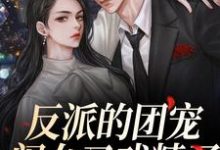 主角叫薄珠珠的小说在哪阅读-乐读文学