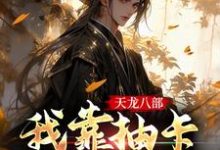天龙八部:我靠抽卡解锁剧情免费阅读,天龙八部:我靠抽卡解锁剧情章节在线阅读-乐读文学