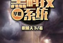 华夏黑科技系统这本小说完结了吗?免费查看最新章节-乐读文学