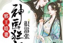 凌瑜萧霖天的故事在哪本书里?免费阅读邪王追妻:神医狂妃很嚣张-乐读文学