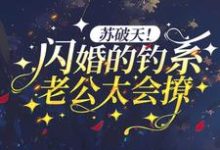 求推荐可以免费阅读苏破天!闪婚的钓系老公太会撩小说的网站-乐读文学
