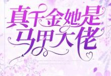 舒澜陆谨寒小说在线章节免费阅读(真千金她是马甲大佬无弹窗无删减)-乐读文学