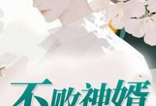 叶秋唐雨欣严梦佳为主角的小说不败神婿在线阅读-乐读文学